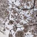 (주)케이제이앤씨 네이버블로그
