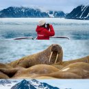 svalbard 이미지