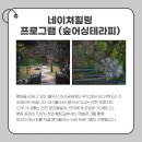 자연나무병원