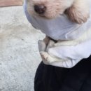 2022-00001 네이버블로그