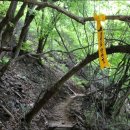 충청도양반길(3코스) 이미지