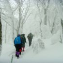 모라중학교 이미지