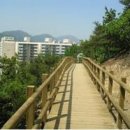 부평구 비타민길 뉴스쉐어