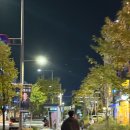 캐롯독 | 👼 임신 11w ~ 16w 증상, 입술 포진, 조리원 예약 후기, 태아 보험, 병원 기록, 주차별 해야할일