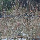 봉촌농장 이미지