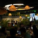 푸른술집 할라 이미지