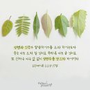 요한계시록 22장의 위대한 예언 | 하나님의교회 어머니하나님 이미지