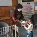 호기농장 | 주말에 어디갈까? 경기광주 딸기농장 '숲속에 딸기' 🍓 체험 후기(꿀팁 대방출-딸기 수확하는 방법 포함)