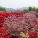 율동경로당 이미지