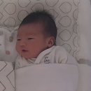 (주)센트리움산후조리원 | 반포 센트리움 산후조리원 2주 이용 후기