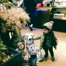 싸다 돼지마을 이미지