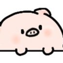 파이널유도멀티짐 영등포점 이미지