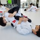 주짓수하우스 네이버블로그