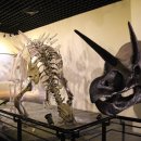 공룡박물관 이미지