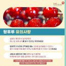 국민탕후루 이미지