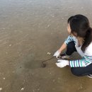 갯벌펜션(민박) 이미지