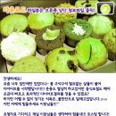 생활요가 이미지