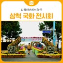 삼척시농업기술센터(원덕) | 삼척해변에서 열린 제10회 국화전시회 후기