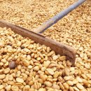 파티오커피 이미지