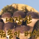 오농장 이미지