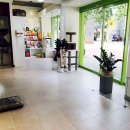 자양동물병원 이미지