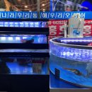 어달산오징어촌 이미지