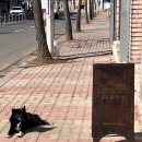 멍멍이 과자점 이미지