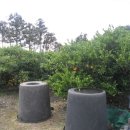 남원읍-83 이미지