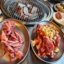 수원-1356 이미지