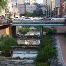 낭만멸치 이미지