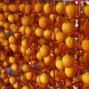 심원농장 이미지