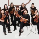 올라비올라 B to B 이미지