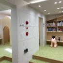 수영구어린이도서관 티스토리