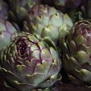 베트남의 건강식품 이미지