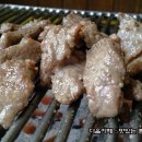 서래갈매기 이미지