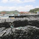 금일읍-1 이미지