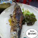 쌍마막회 이미지