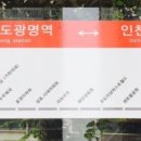 양지-3001 이미지