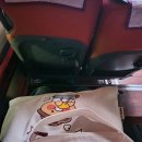 파랑새휴게소 | <파랑새 투어> 정선 당일치기 버스 여행