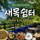 새목쉼터 | [밀양] 삼랑진 맛집 새목쉼터, 야장 감성 하나로 다시 찾게 되는 로컬 맛집