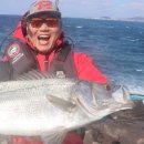 넙치민박 이미지