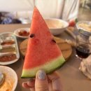 애견의숲