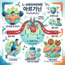 [40대 피로회복] 가정을 책임지는 남편을 위한 아르기닌 파워!!