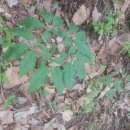 현동농장 이미지