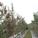 상관농장 이미지