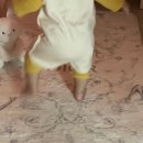 메종보리
