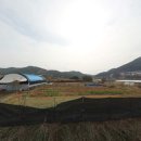 강청리농장 티스토리