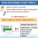 민스켄넬 이미지