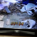 하하횟집