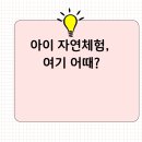 시선목장 | 울산 하늘목장, 아이 체험 기준으로 정리